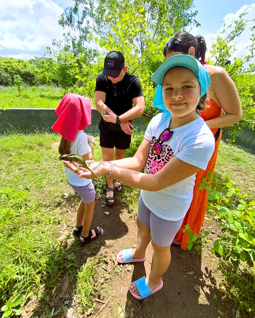 Jozani Forest and Butterfly Tour