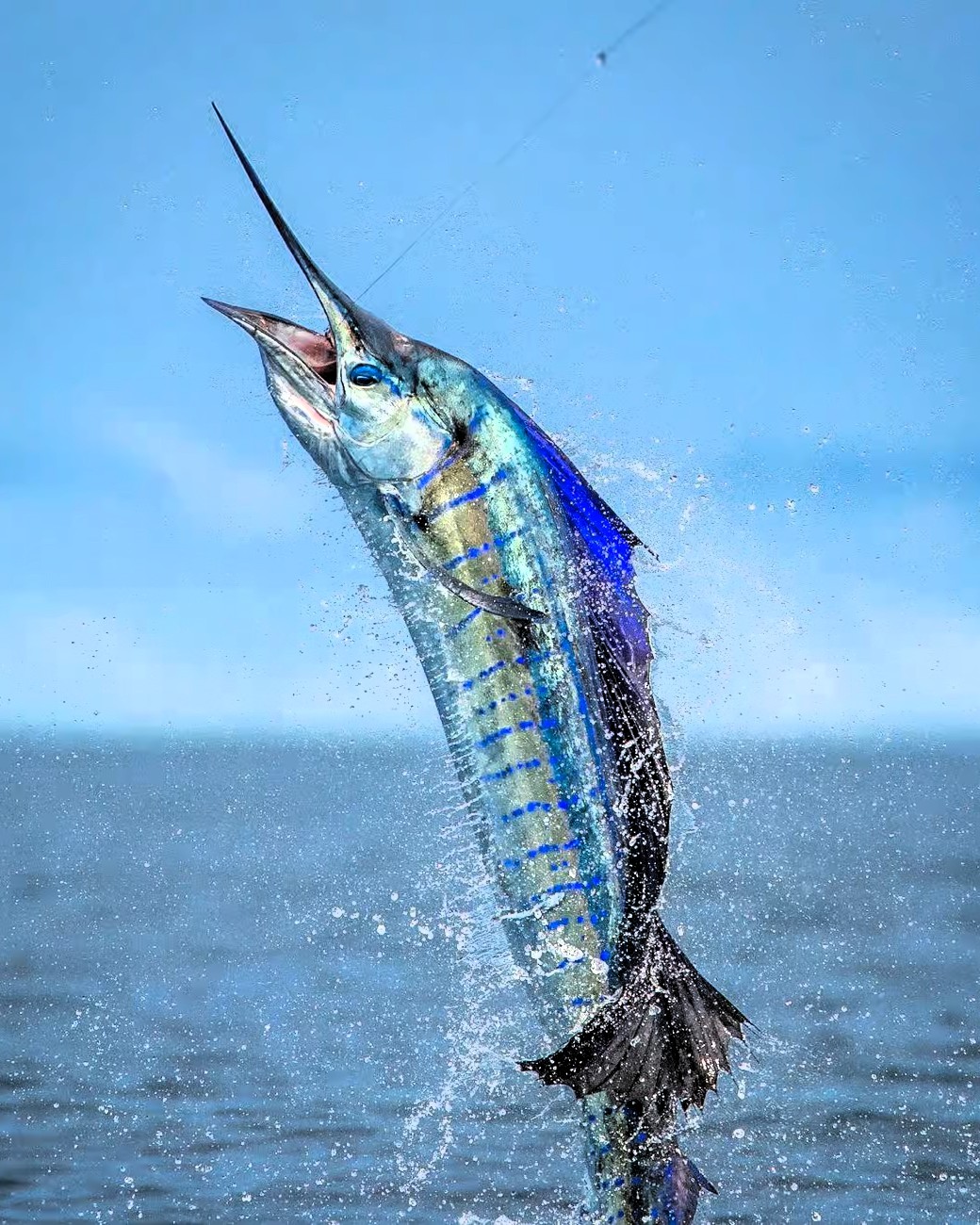 Game and Local Fishing tour boat