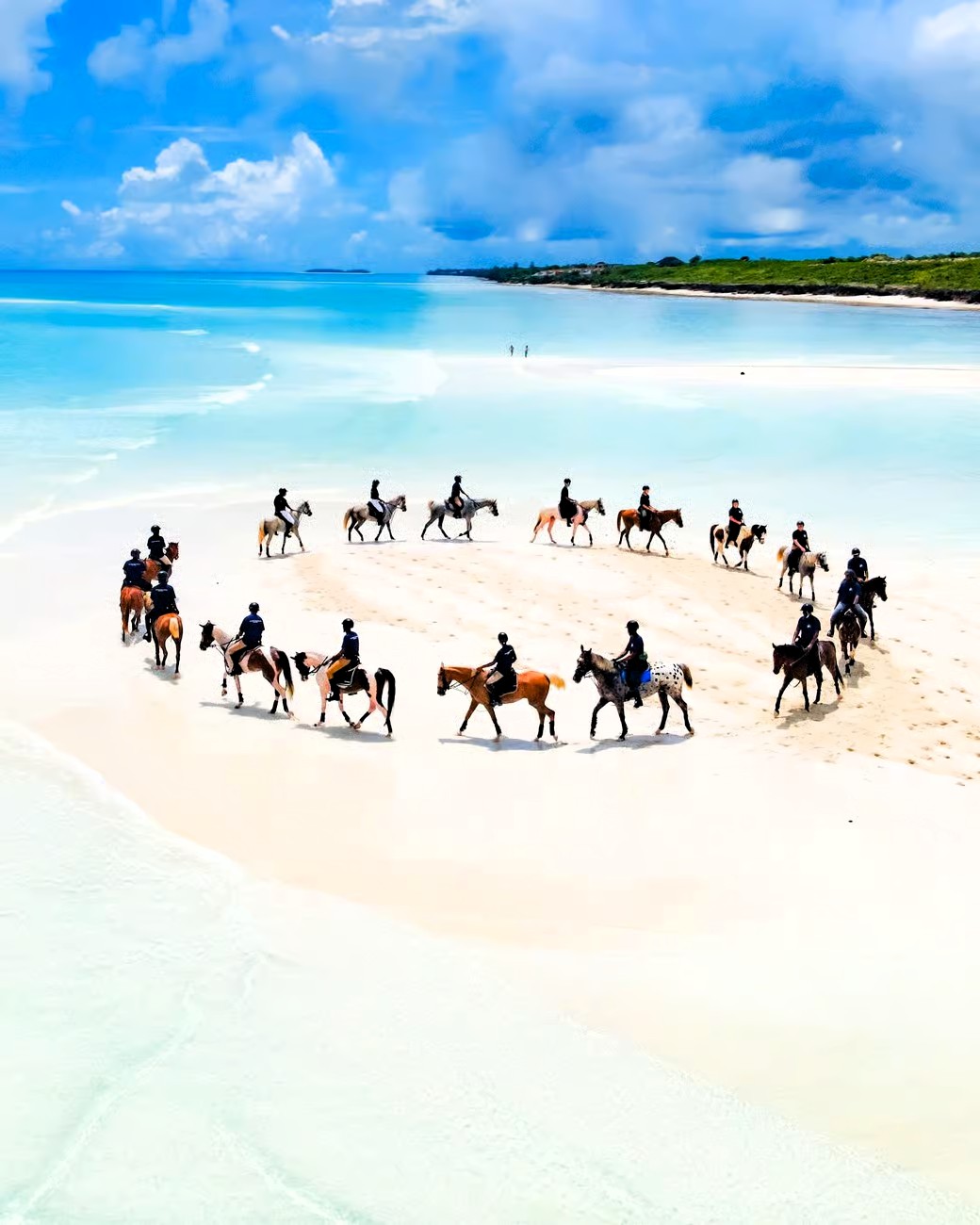 Zanzibar Horse Riding Tour on the beach