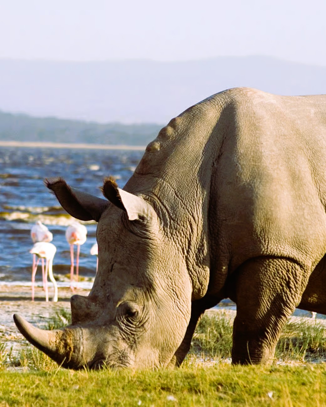 2 Days 1 Night Tarangire and Lake Manyara Safari