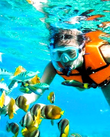 Snorkeling and Lunch at the Rock Restaurant