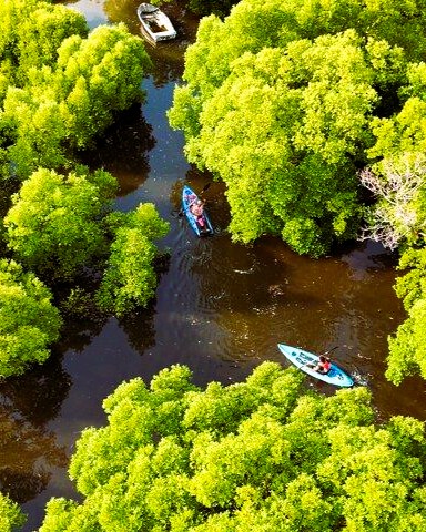 Uzi Island Tour - Zanzibar